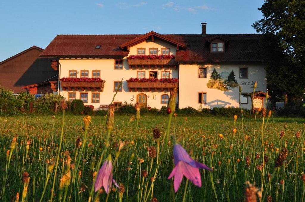 Bauernhof Bauer Apartment Zwiesel Bagian luar foto